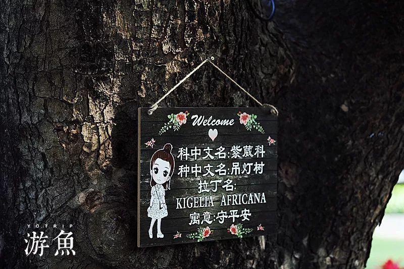 妖尾VS海贼王1.1