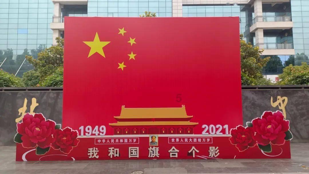 救援小犬立苏