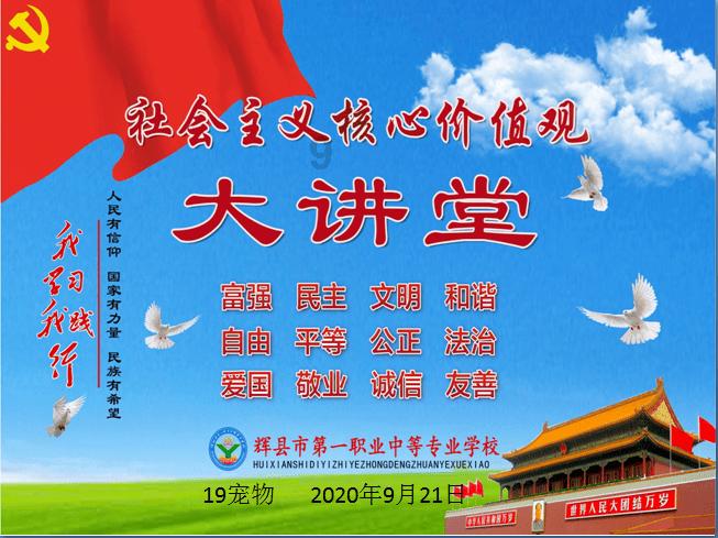 区政府召开2024年第2次常务会议