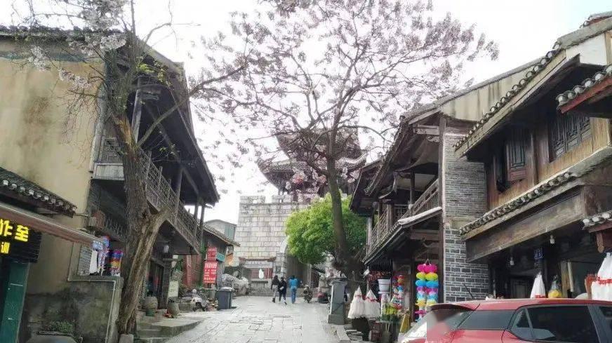 寻找惊喜礼物