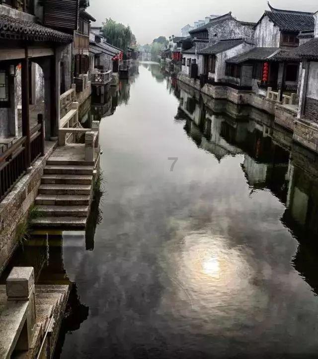 野猪战力到底有多强?成年野猪能抗衡狮子吗?-专业问答平台-答疑解惑,搜寻各行业领域的专家解答