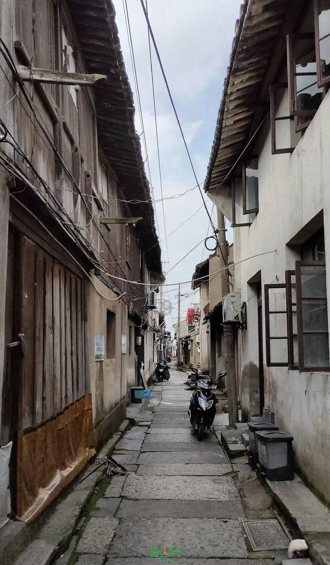 大一新生多久能查学信网游戏画面